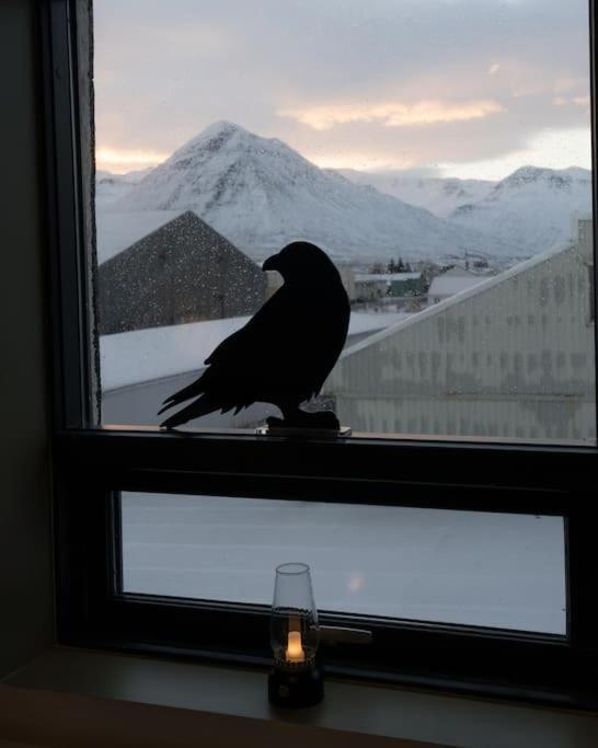 Apartamento Scenic Penthouse - Ocean View & Skylight Windows Siglufjordur Exterior foto